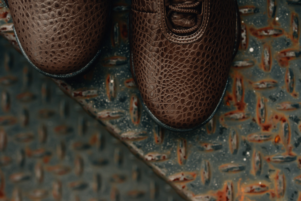 Jordan_Horizon_Premium_BRQ_Brown-Mtllc_Gold-infrd_23_dneaker_politics-6431